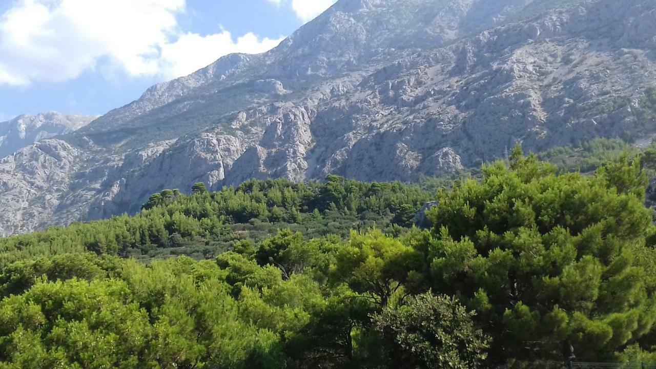 Studio With Magic View Podgora Exterior photo